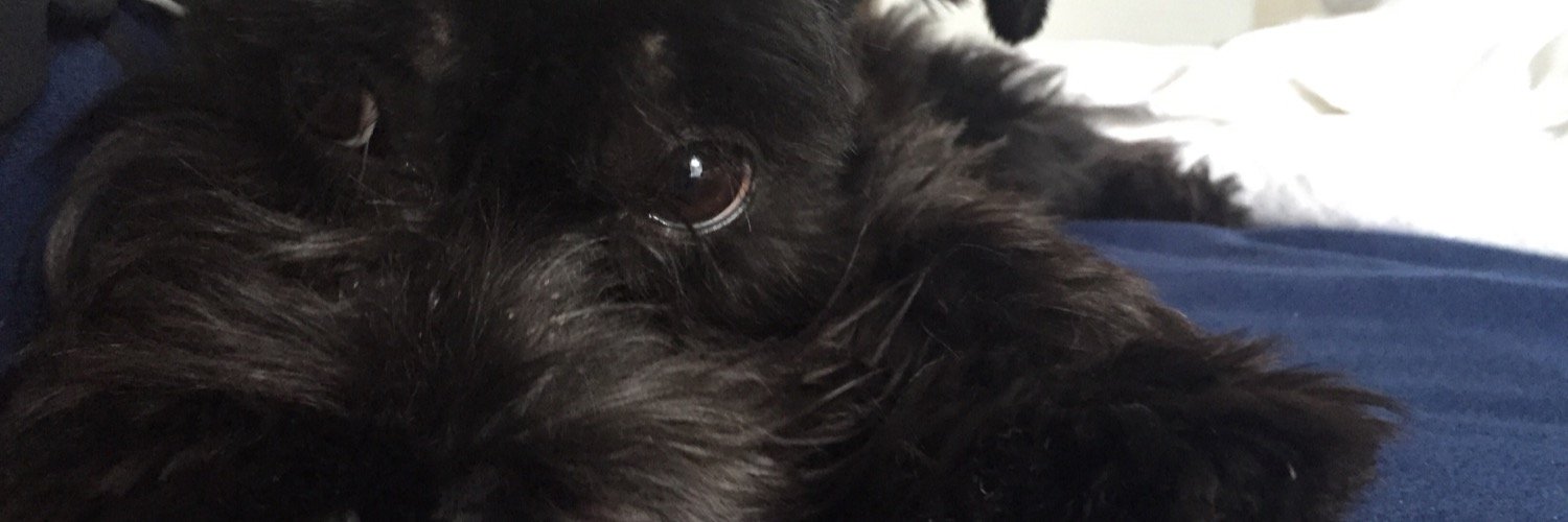 Janedawggg's profile banner image