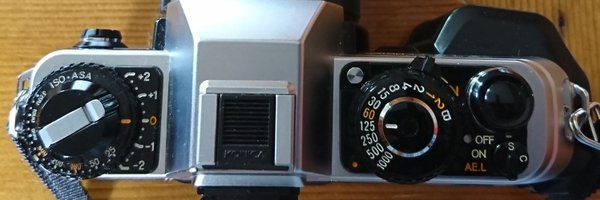 feiyenwitbh01 Profile Banner