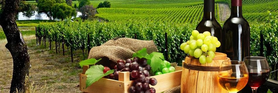 Wine_Repulic's profile banner image
