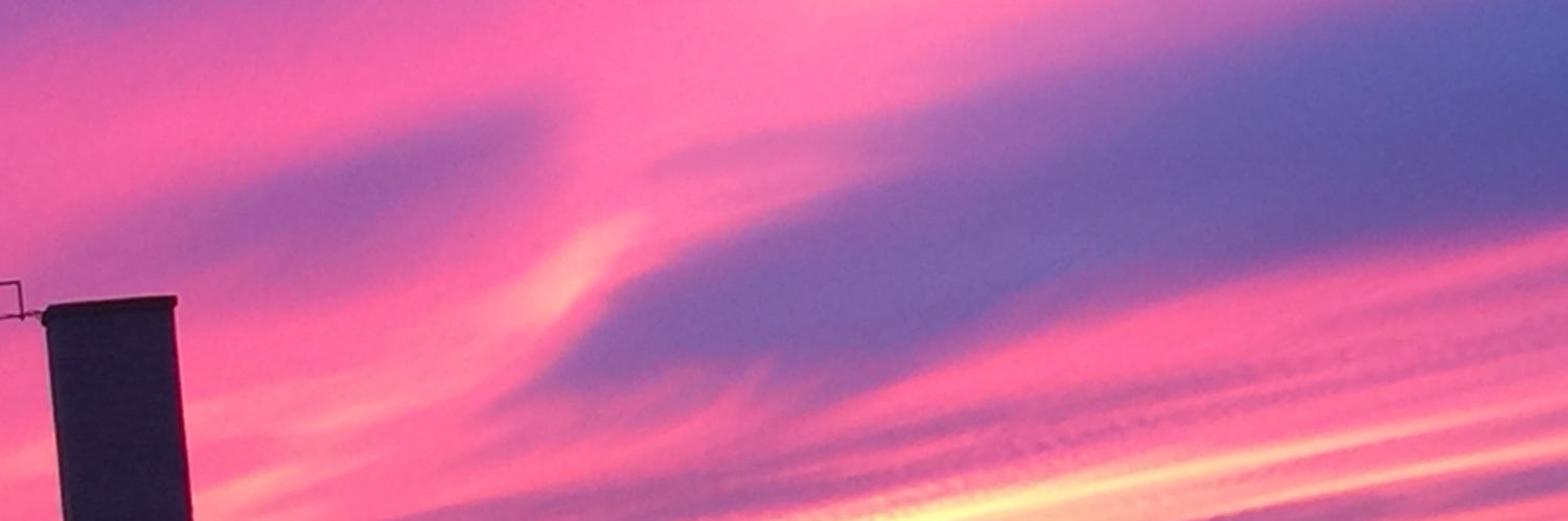 FansOfWWEWomen's profile banner image