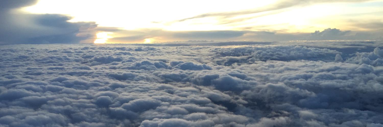 Noureddine Manamanni banner