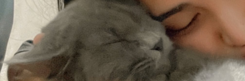 alliahrms_'s profile banner image