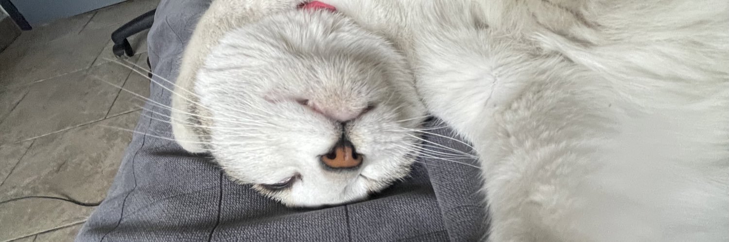 IceeDuran's profile banner image