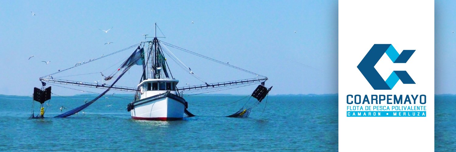 Coarpemayo's profile banner image