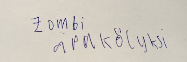 lettipitko Profile Banner