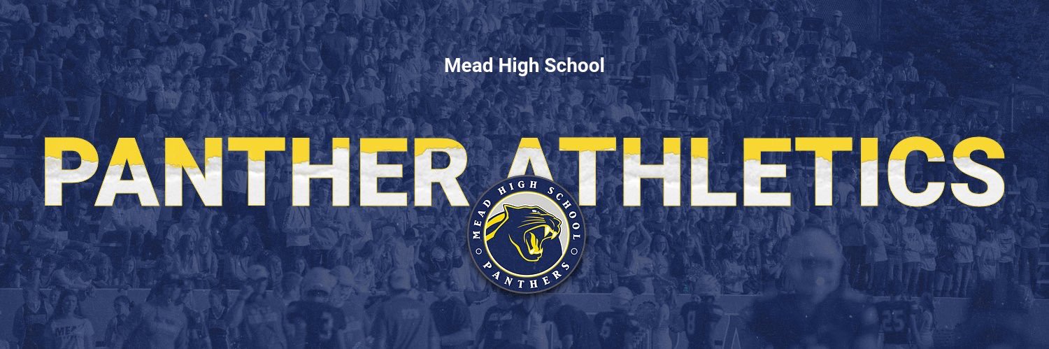 Mead Panther Sports banner