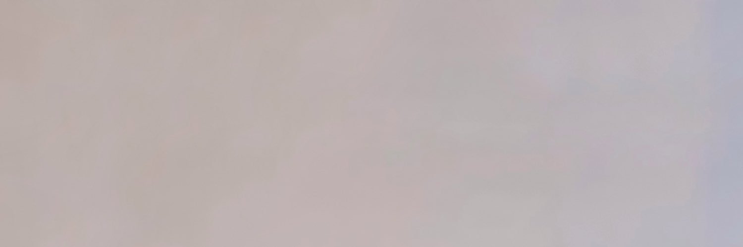 ellaesalis's profile banner image