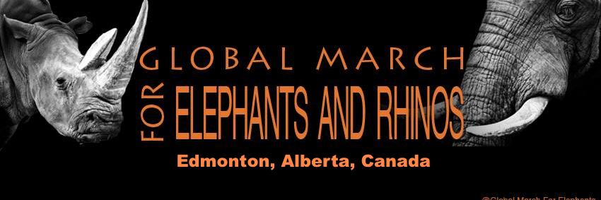 gmfer_edmonton's profile banner image