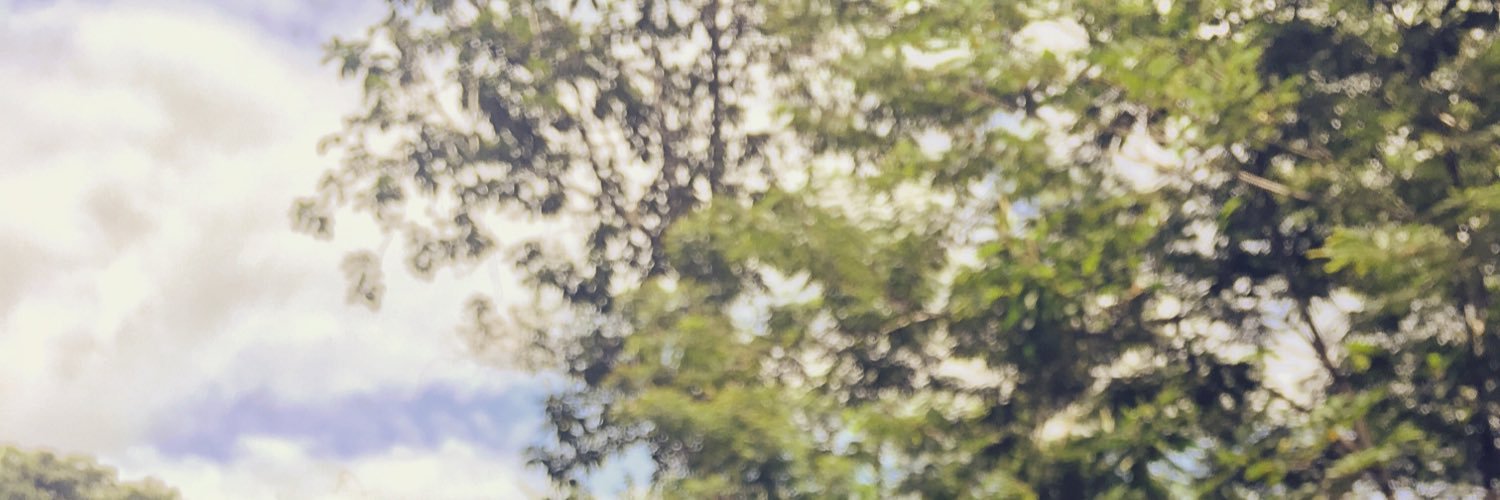 WitBlakamang's profile banner image