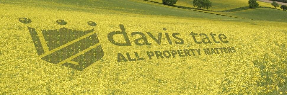 davistate's profile banner image