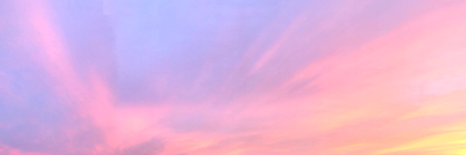 chicks1102's profile banner image