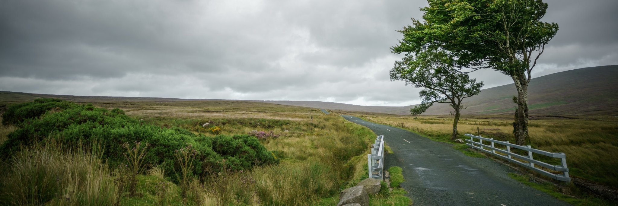 James Adolphus banner
