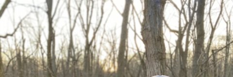 Bonnie Essner, PhD banner