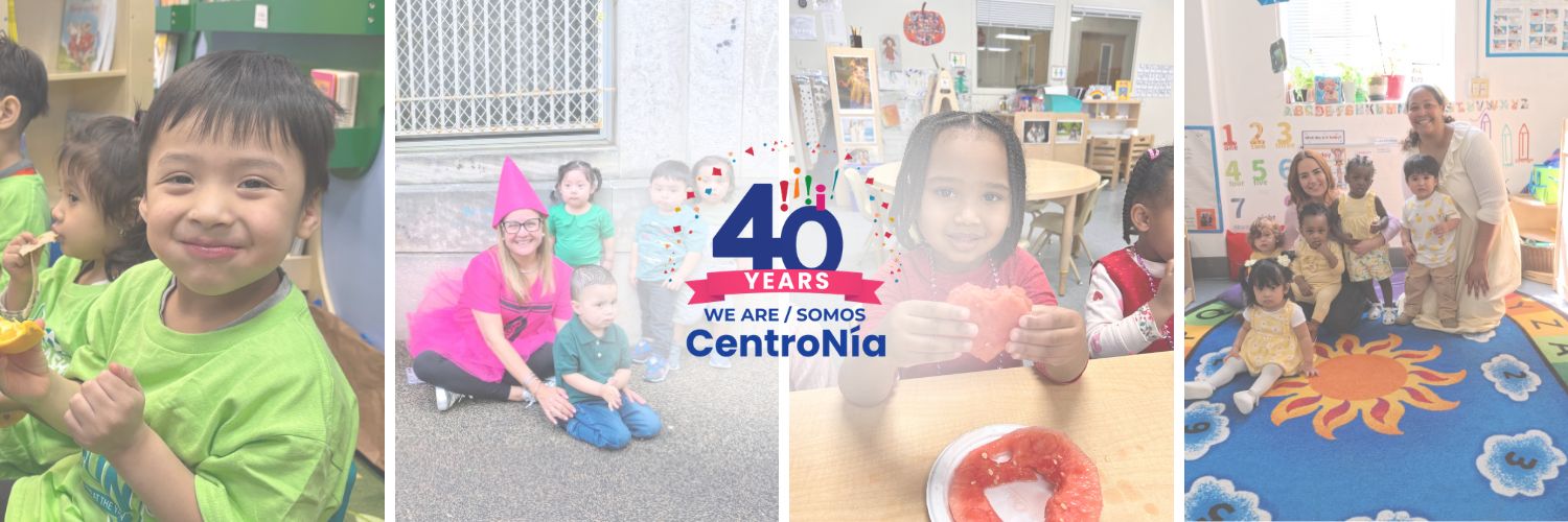 CentroNia's profile banner image