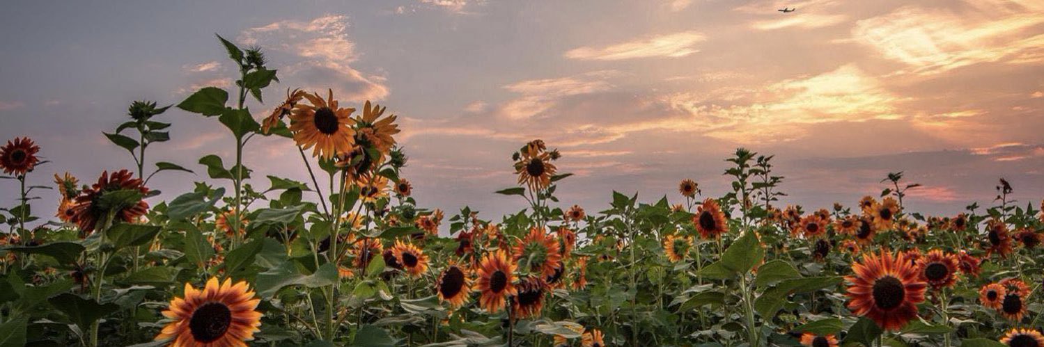 ٰ banner