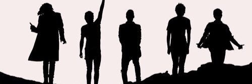1DVoteUpdate's profile banner image