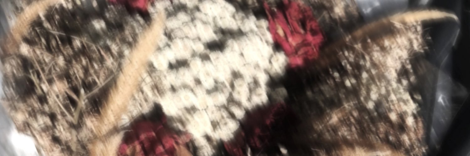 anggraya03's profile banner image