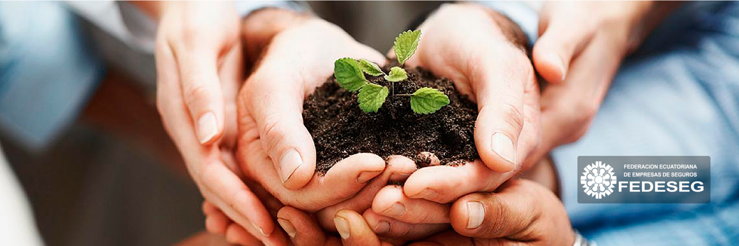Federación Ecuatoriana de Empresas de Seguros banner