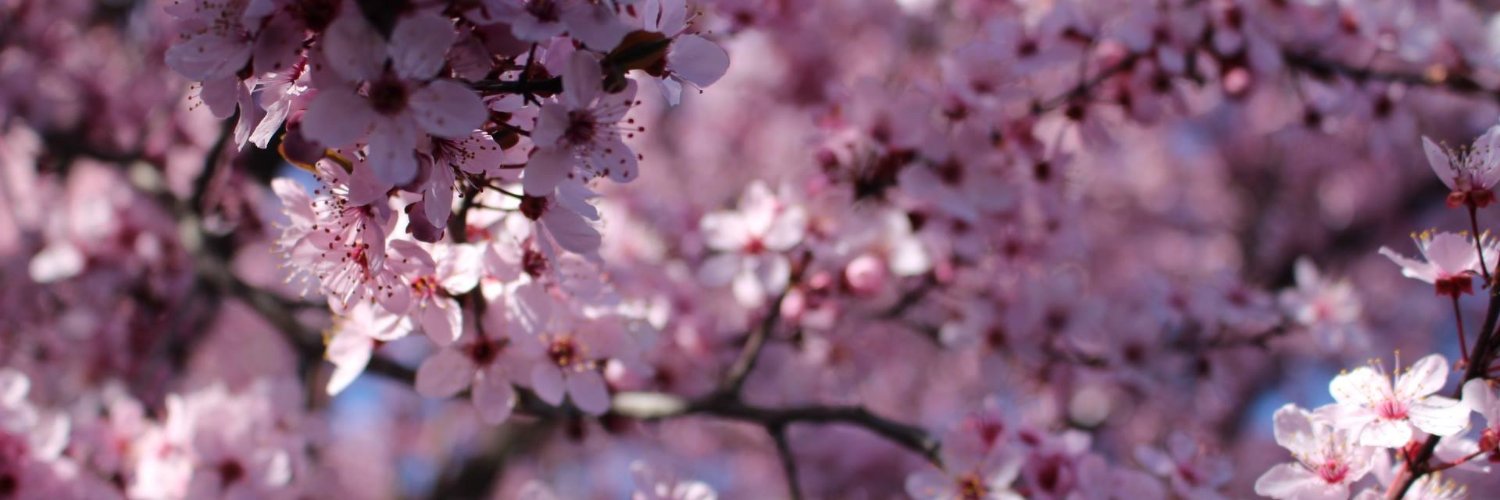 demosplaysgames's profile banner image