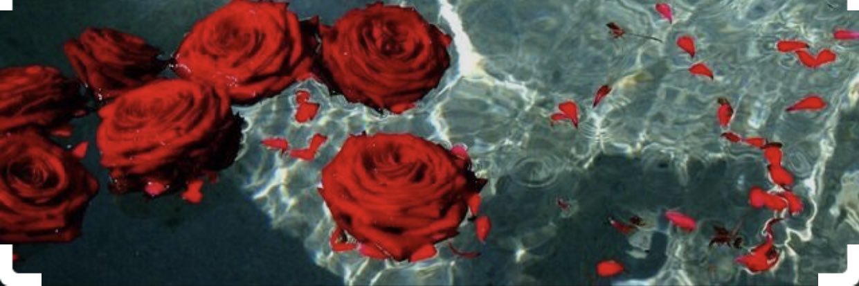 _bcloud14's profile banner image