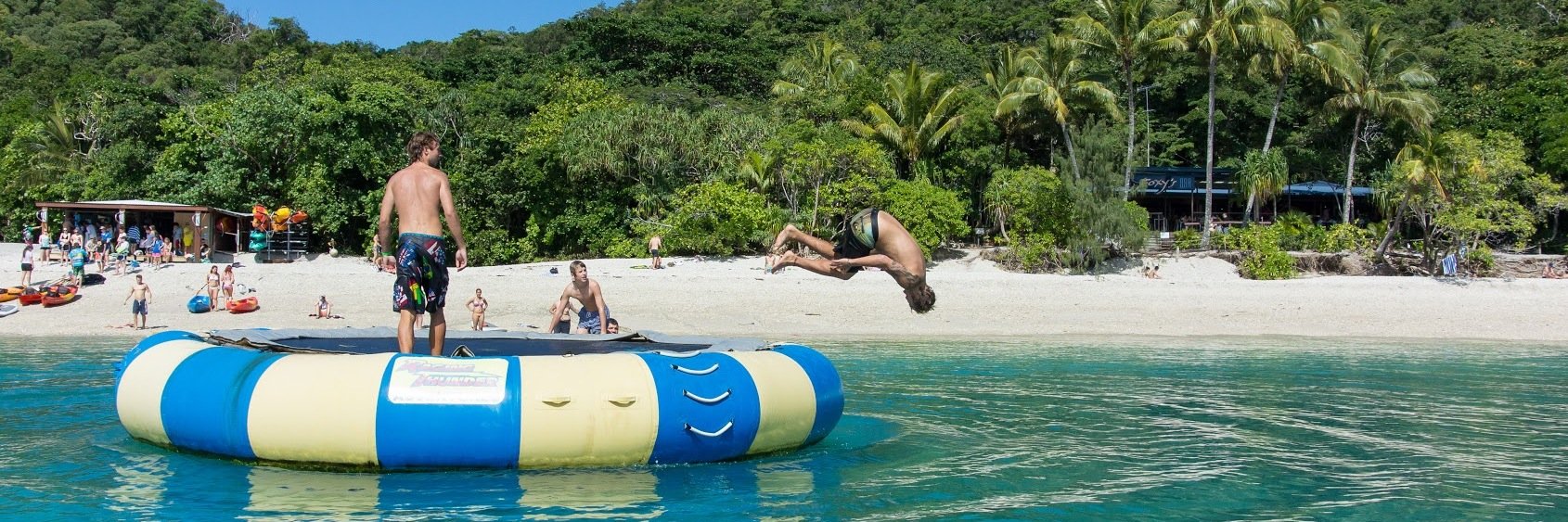FitzroyIsland1's profile banner image