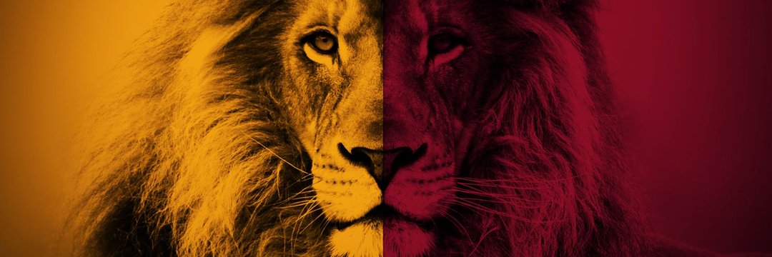 BirolS95's profile banner image