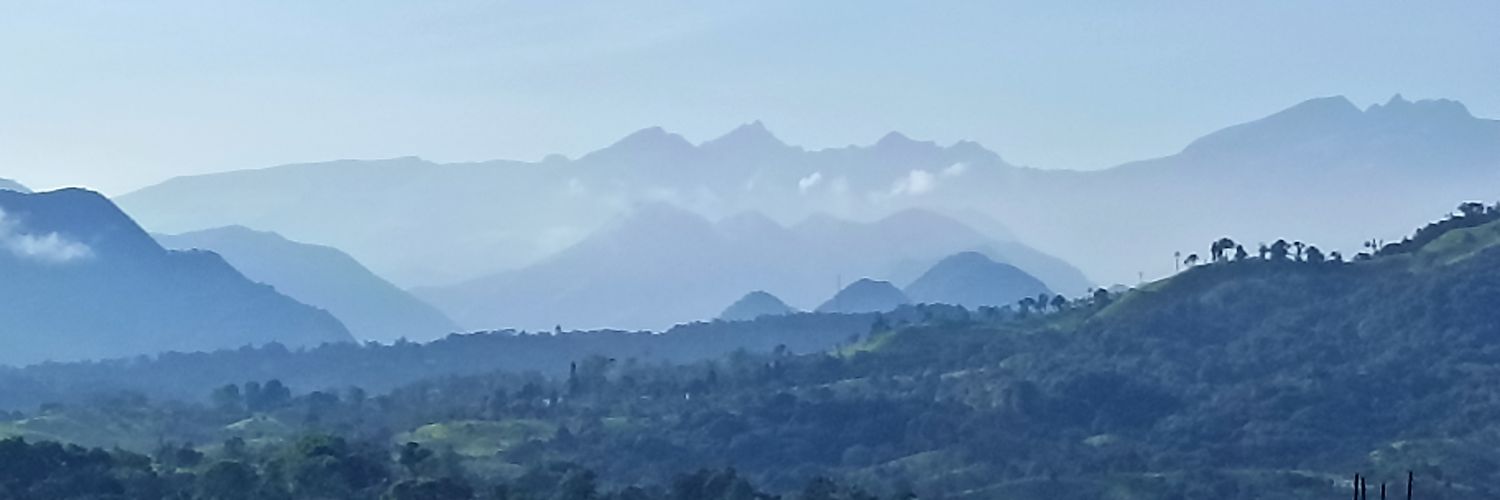 XimePonceLeon's profile banner image