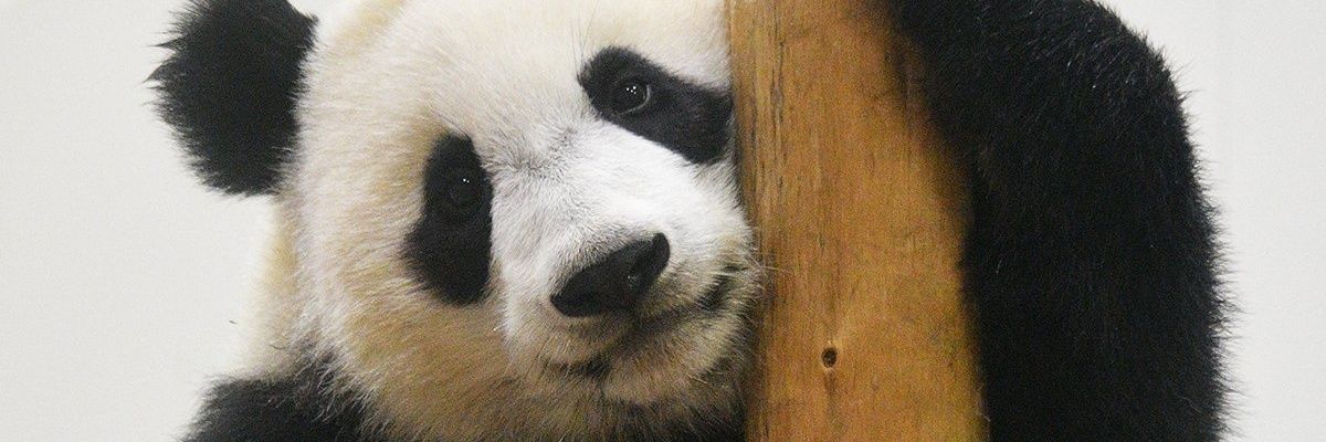 ktgwtky's profile banner image