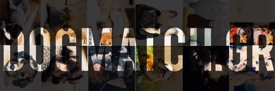 DogMatch_gr's profile banner image