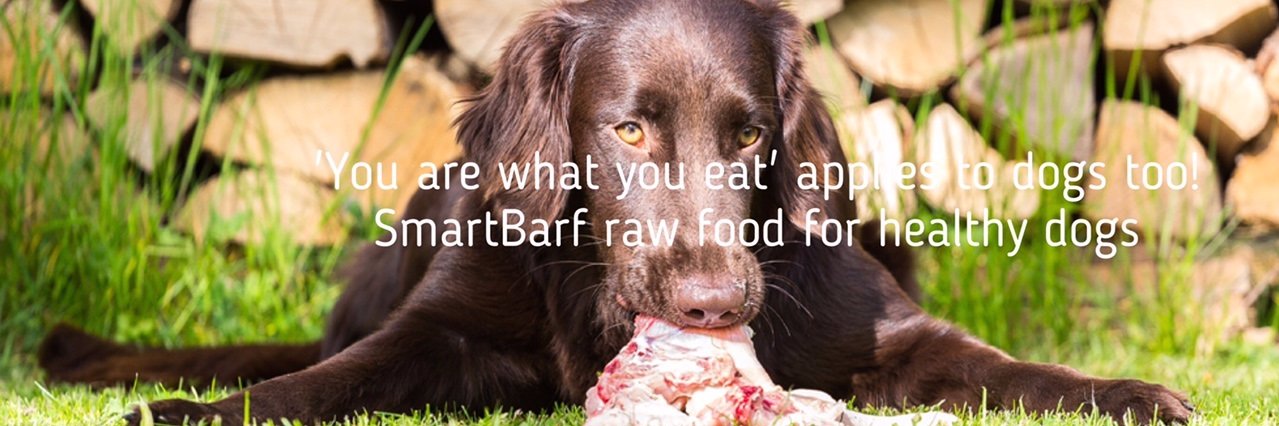 SmartBarf banner