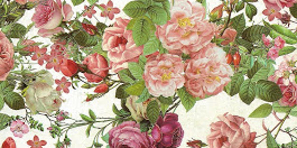sofialcantaraa's profile banner image