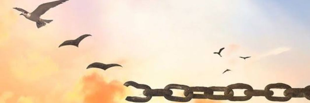 Maralfv's profile banner image