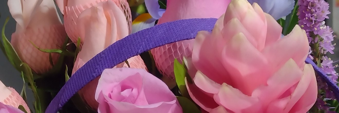 matemi_zc's profile banner image