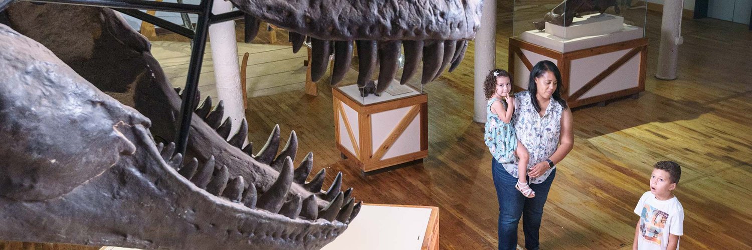 South Carolina State Museum banner