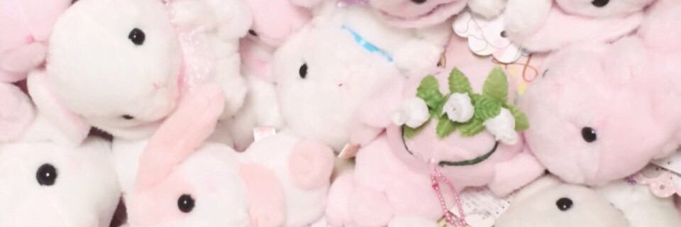 pompom897's profile banner image