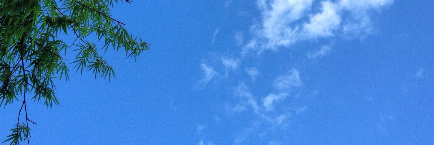 tichatherapy's profile banner image