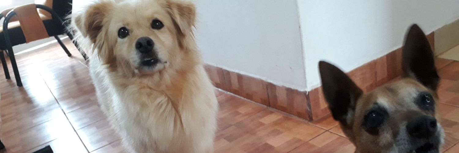 MariaAgustinaMC's profile banner image