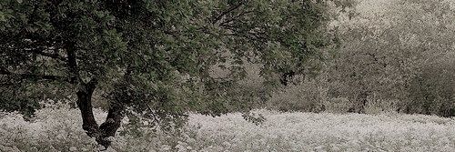 jicookim's profile banner image