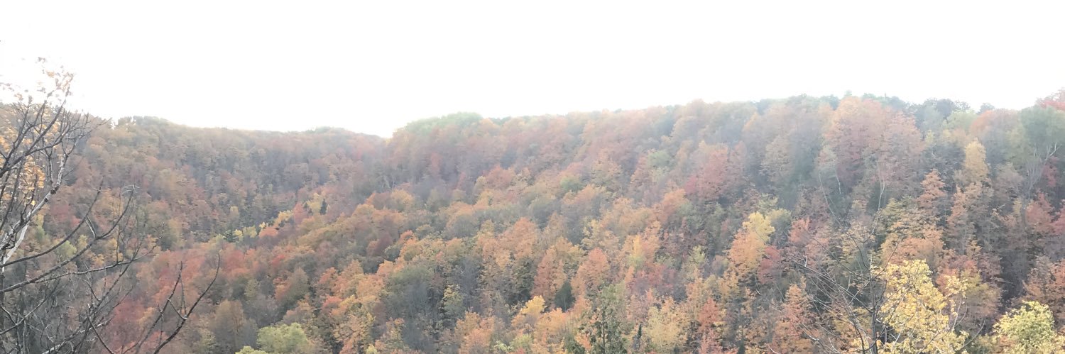 hermannater's profile banner image