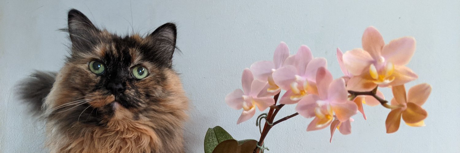 thistle_burr's profile banner image
