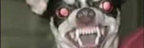 tambor3s's profile banner image