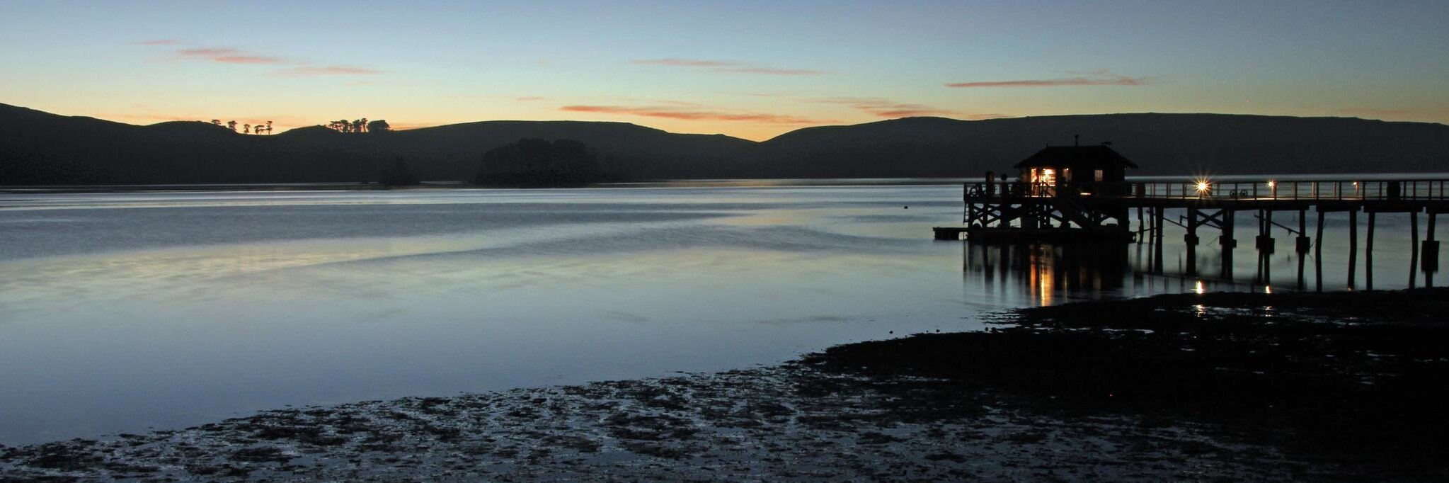 Robin Shipston banner