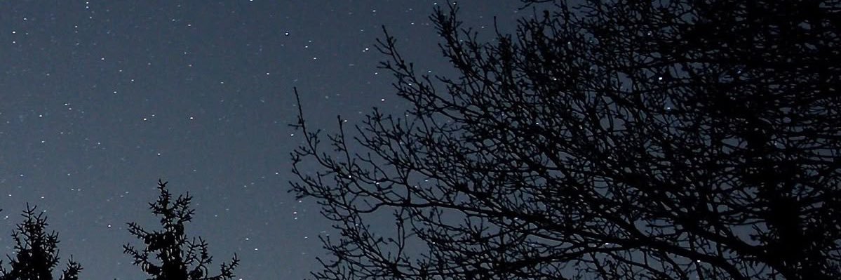 minetsn's profile banner image