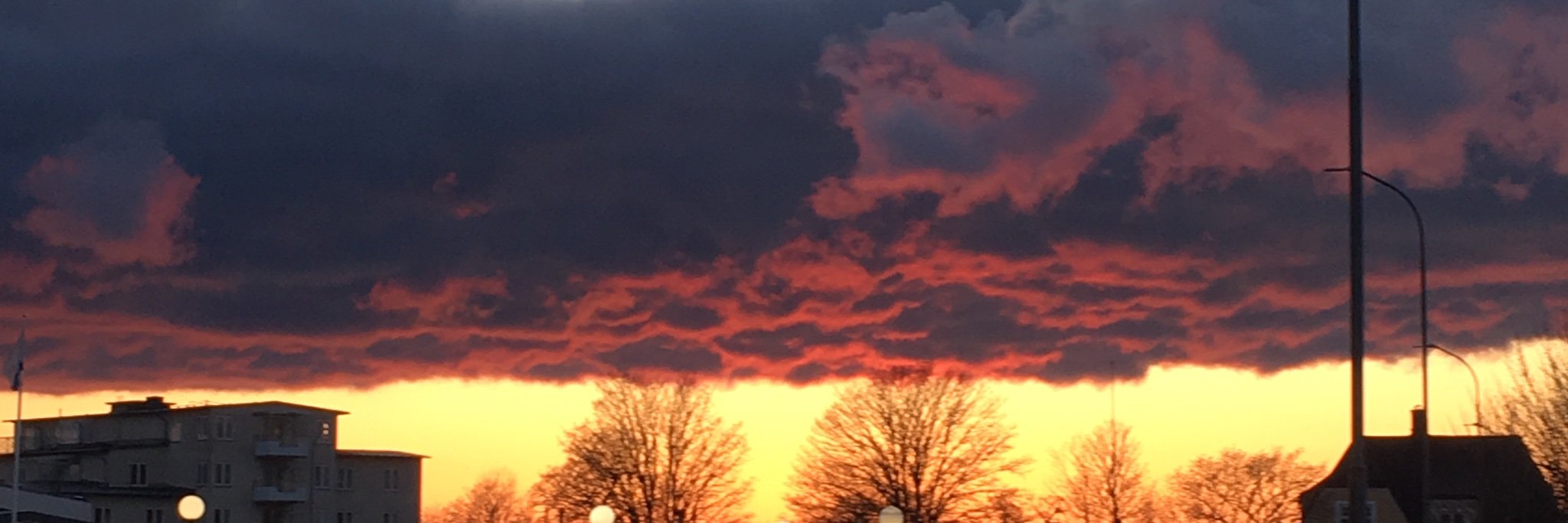 carro_bergstrom's profile banner image
