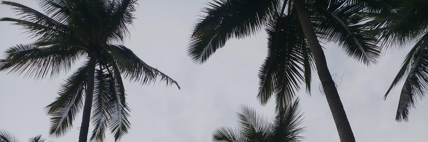 LioraMoll's profile banner image