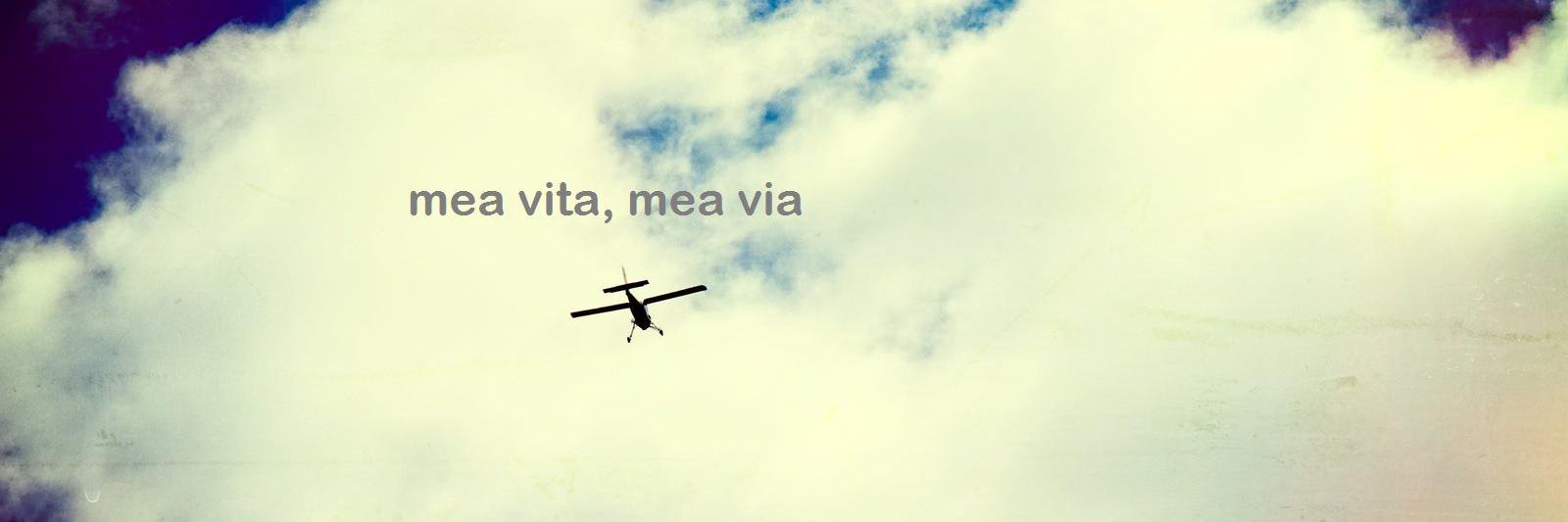 Stritkat's profile banner image
