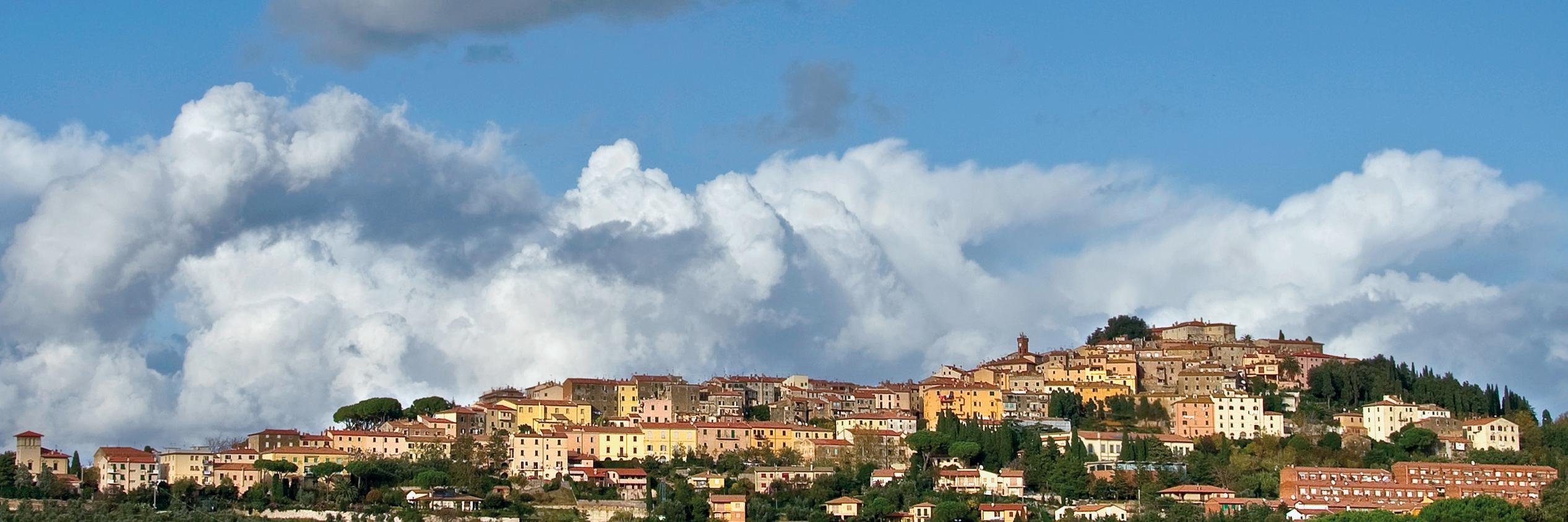BccCastagneto's profile banner image