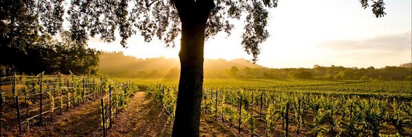 PlayMsT4Me Profile Banner