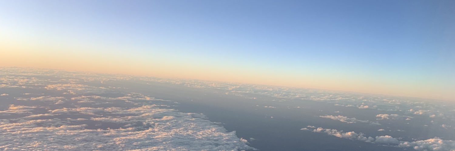 beattrizfidelis's profile banner image
