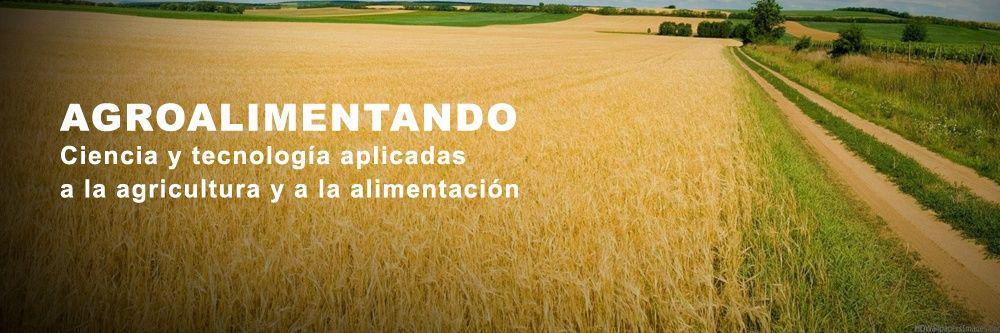 agroalimentando's profile banner image